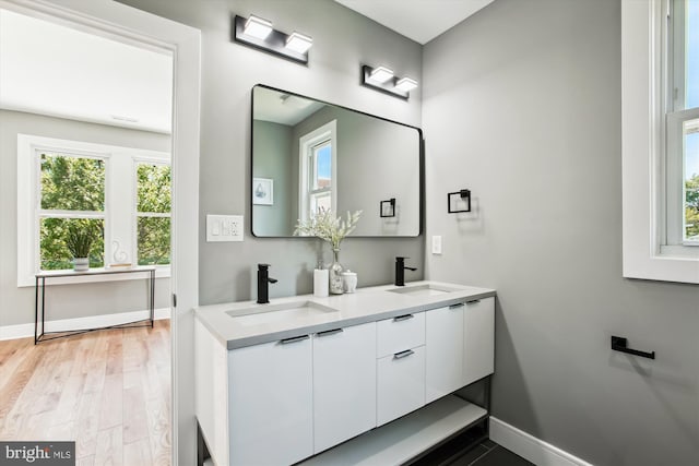 1014 Kearny St NE, Washington, DC 20017 - bathroom featuring baseboards, a wealth of natural light, and a sink