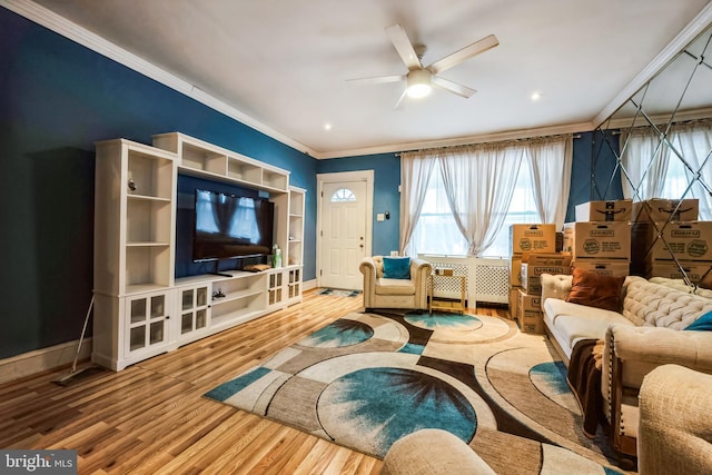 4910 N Hutchinson St, Philadelphia, PA 19141 - living area featuring crown molding, radiator, ceiling fan, wood finished floors, and baseboards