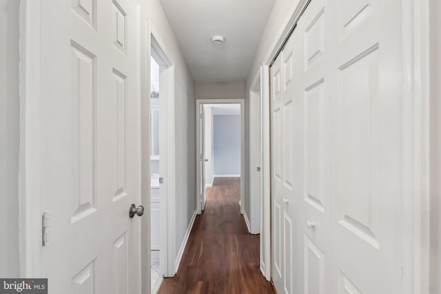 2816 Lee Oaks Pl Unit 102, Falls Church, VA 22046 - hallway featuring dark wood-style flooring and baseboards