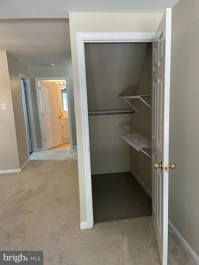 view of closet