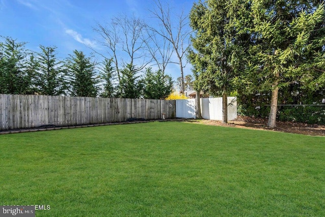 view of yard featuring a fenced backyard