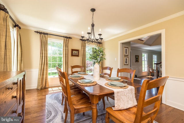 dining room featuring a chandelier, crown molding, dark wood-style floors, and a wainscoted wall
