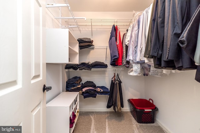 spacious closet featuring carpet floors