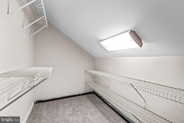 walk in closet featuring carpet and vaulted ceiling
