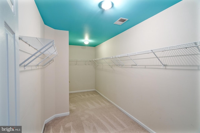 33 General Early Dr, Harpers Ferry, WV 25425 - walk in closet featuring carpet floors
