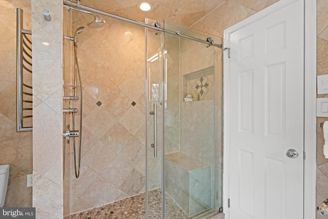 full bathroom featuring toilet and a stall shower