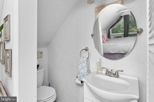 1 Pheasant Ln, Hamilton, NJ 08690 - bathroom with vanity, toilet, vaulted ceiling, and a textured wall