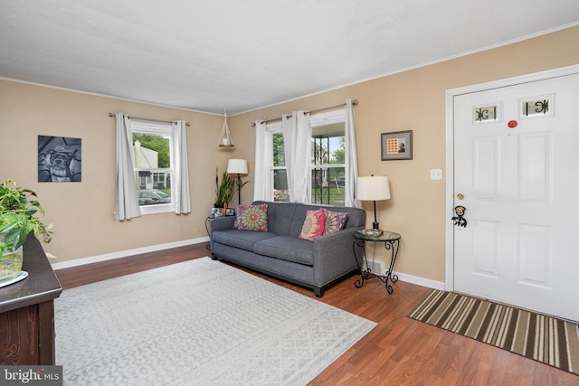 1 Pheasant Ln, Hamilton, NJ 08690 - living room with dark wood-type flooring, baseboards, healthy amount of natural light, and crown molding