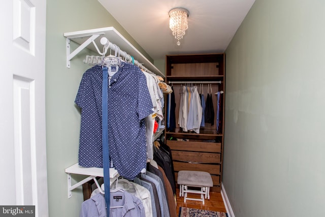 spacious closet featuring wood finished floors