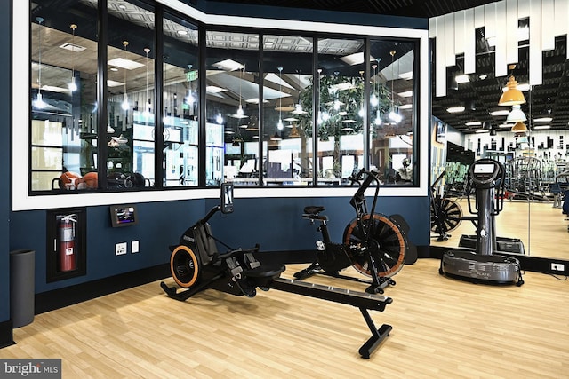workout area with wood finished floors