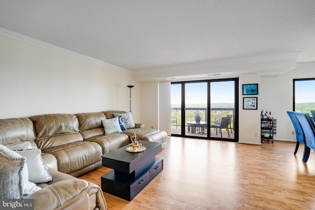 203 Yoakum Pkwy Unit 1807, Alexandria, VA 22304 - living room featuring light wood-style floors, crown molding, expansive windows, and baseboards