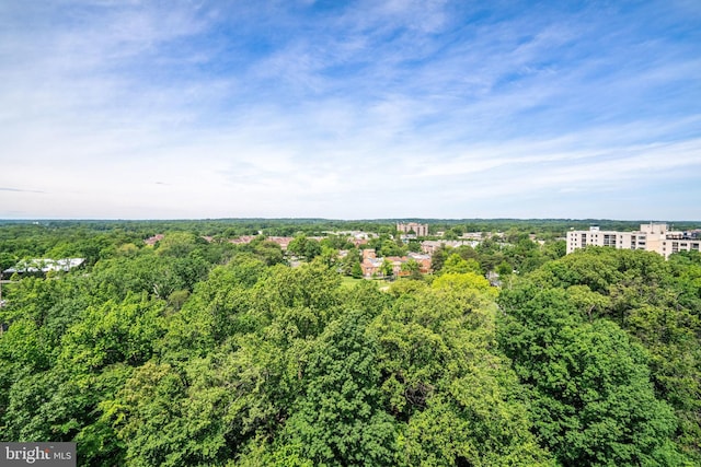 203 Yoakum Pkwy Unit 1807, Alexandria, VA 22304 - bird's eye view of a forest