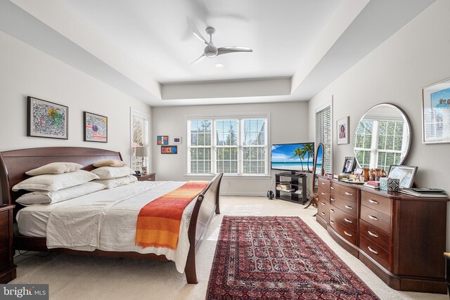 1430 County Line Rd, Bryn Mawr, PA 19010 - bedroom featuring a tray ceiling, light carpet, a ceiling fan, and multiple windows