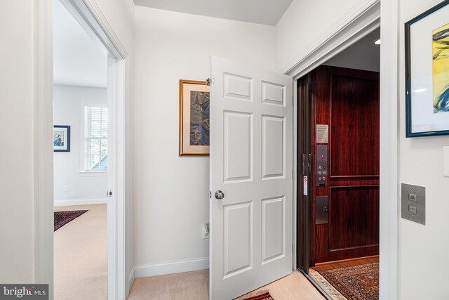 1430 County Line Rd, Bryn Mawr, PA 19010 - interior space featuring light carpet, baseboards, and elevator