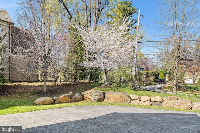 1430 County Line Rd, Bryn Mawr, PA 19010 - view of yard
