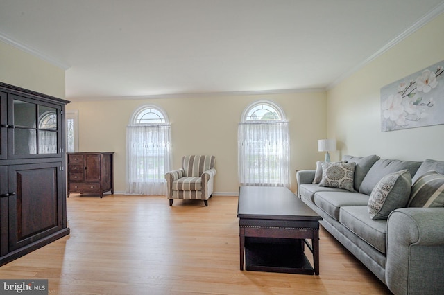 living room with crown molding, light wood-style flooring, and plenty of natural light