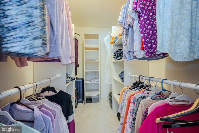 walk in closet featuring carpet flooring
