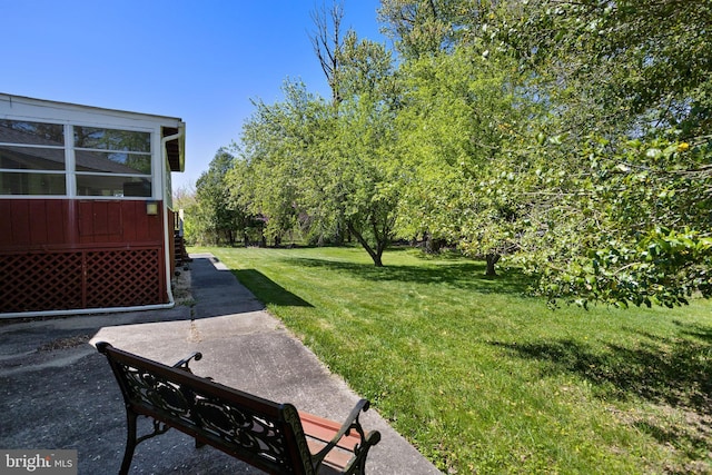 view of yard