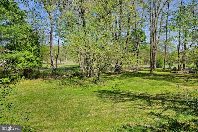 view of yard