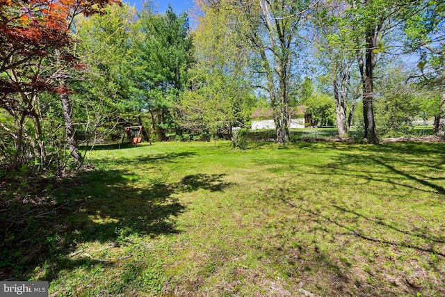 view of yard featuring a playground