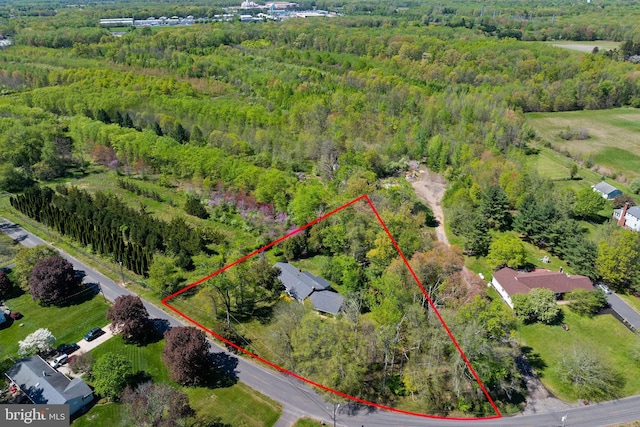 aerial view featuring a forest view