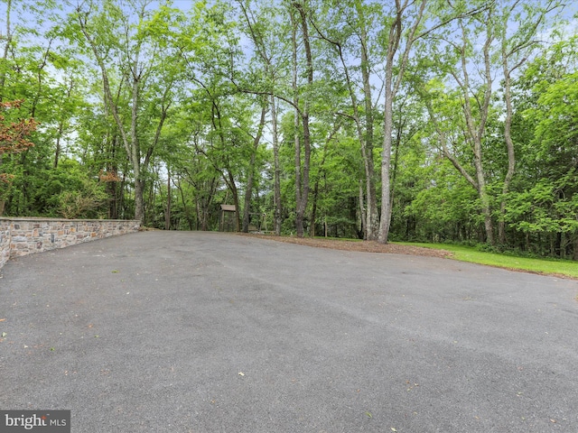 11035 Bennie Duncan Rd, Frederick, MD 21701 - view of patio / terrace