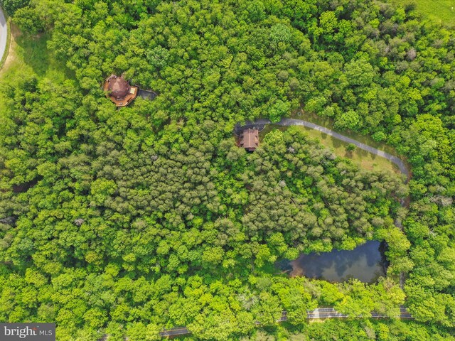 11035 Bennie Duncan Rd, Frederick, MD 21701 - aerial view