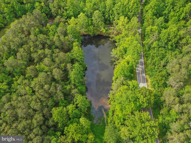 11035 Bennie Duncan Rd, Frederick, MD 21701 - bird's eye view of a nearby body of water and a heavily wooded area