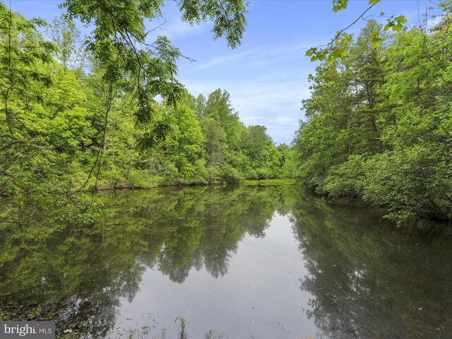 11035 Bennie Duncan Rd, Frederick, MD 21701 - water view with a forest