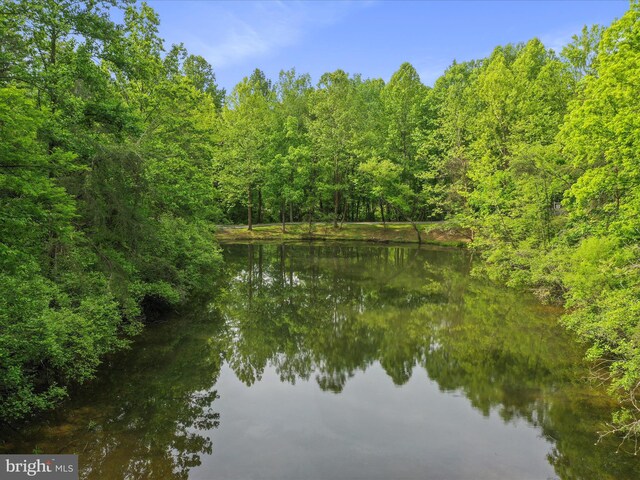 11035 Bennie Duncan Rd, Frederick, MD 21701 - water view with a heavily wooded area