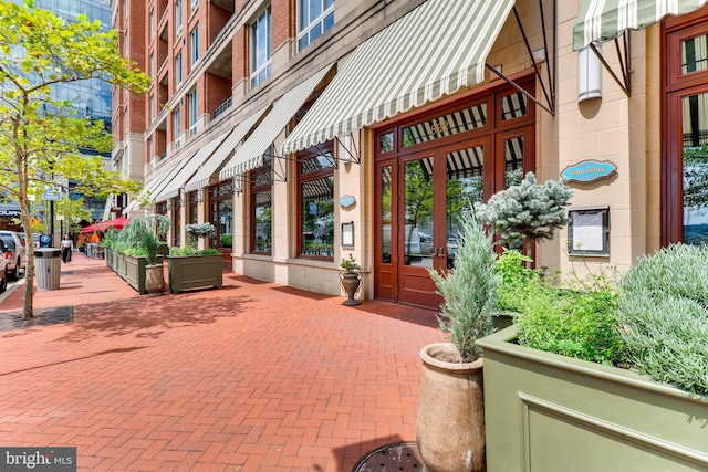 675 President St Unit 2409, Baltimore, MD 21202 - entrance to property with french doors