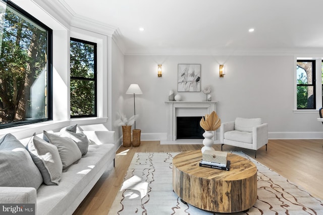 living area featuring baseboards, wood finished floors, a fireplace, and crown molding
