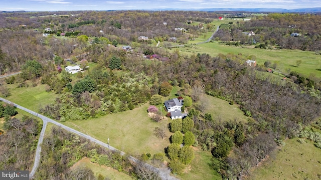 aerial view featuring a view of trees