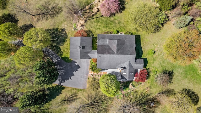 aerial view