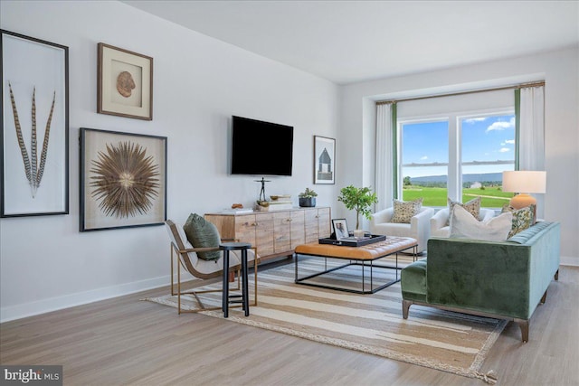 living room with wood finished floors and baseboards