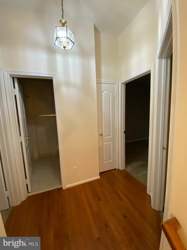 unfurnished bedroom featuring wood finished floors, a closet, a spacious closet, and baseboards