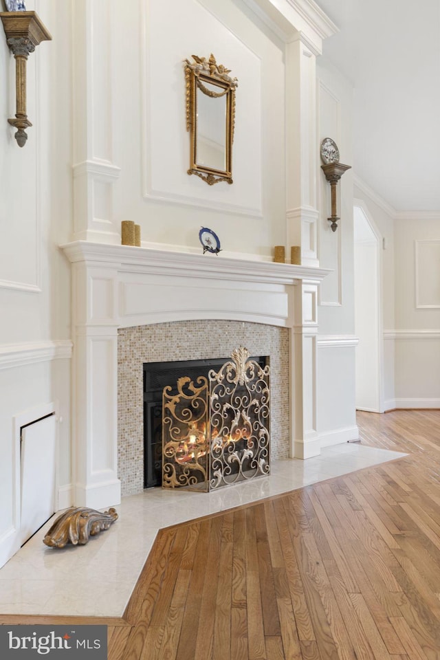 details featuring wood finished floors and a fireplace