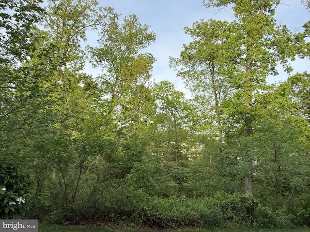 23266 Southdown Manor Ter Unit 102, Ashburn, VA 20148 - view of woods