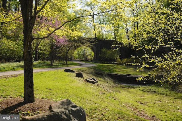 surrounding community with a yard