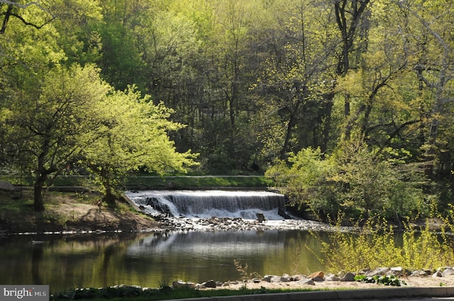 property view of water with a view of trees
