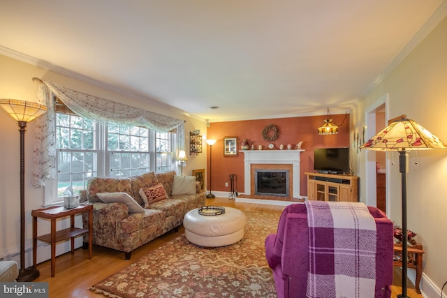 living room with crown molding, a glass covered fireplace, wood finished floors, and a baseboard radiator