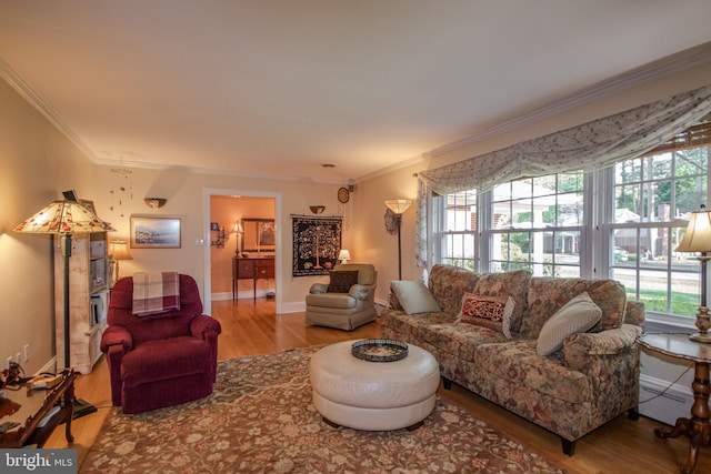 living room featuring crown molding, baseboards, and wood finished floors