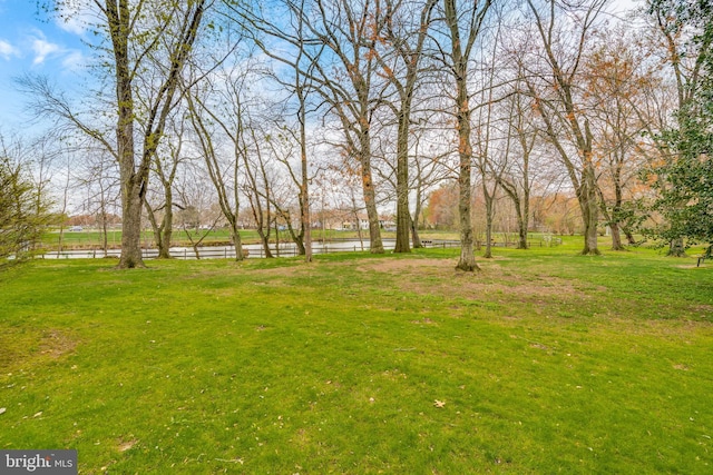 9 Dennison Dr, East Windsor, NJ 08520 - view of yard