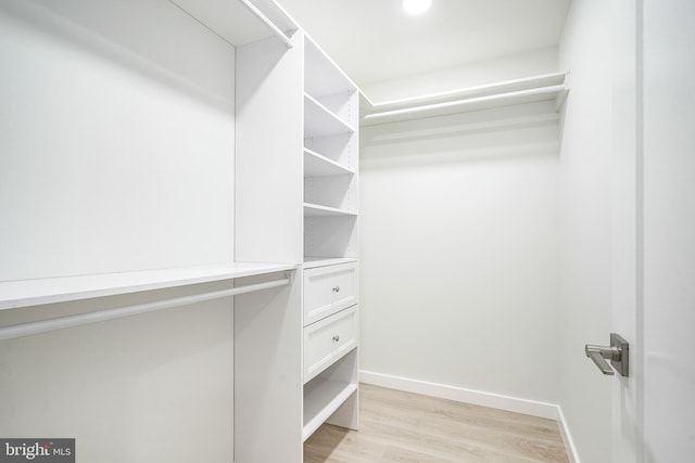 1143 Tasker St, Philadelphia, PA 19148 - spacious closet with light wood-style floors