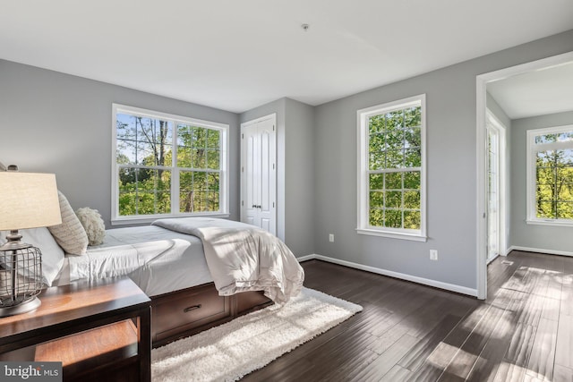 bedroom with baseboards, dark wood finished floors, and a closet