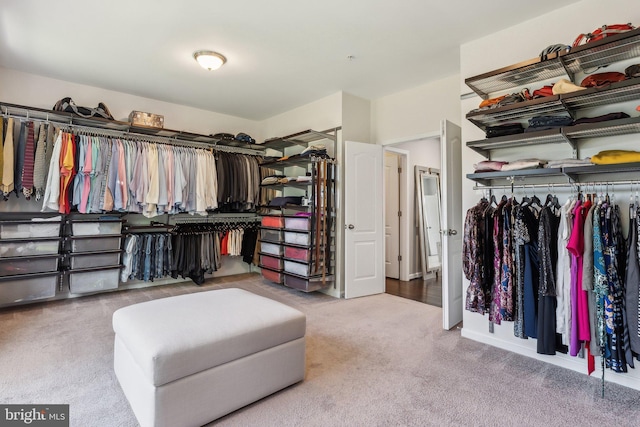 walk in closet featuring carpet