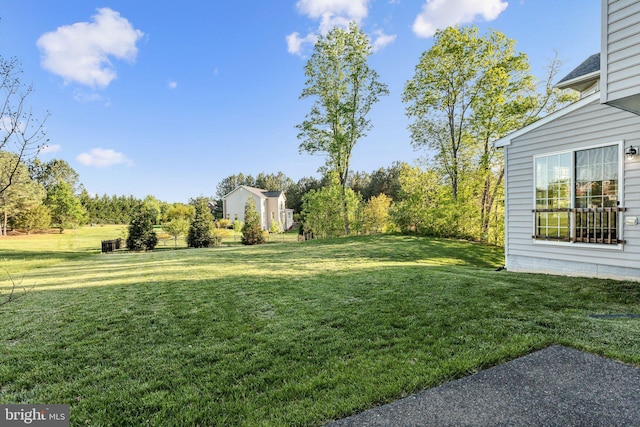 view of yard