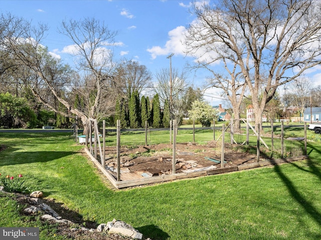 view of yard featuring a garden