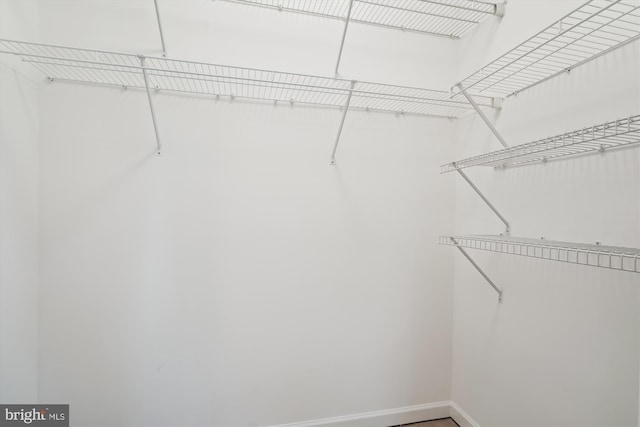 view of walk in closet