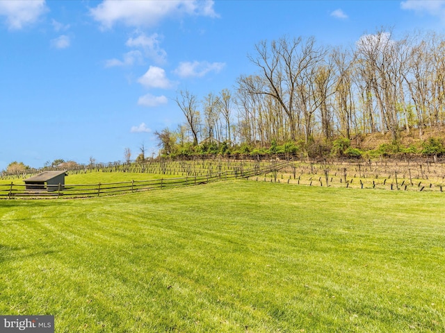 view of yard with a rural view and fence